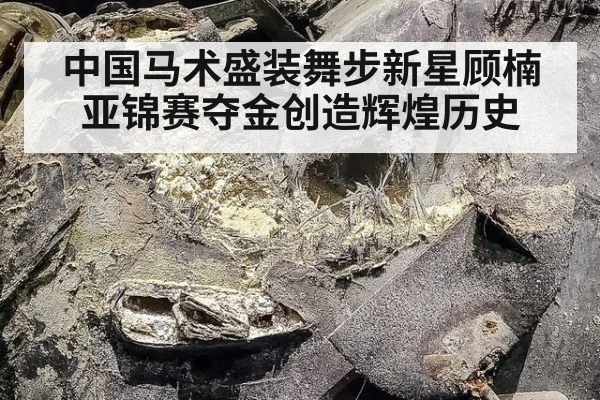 中国马术盛装舞步新星顾楠亚锦赛夺金创造辉煌历史
